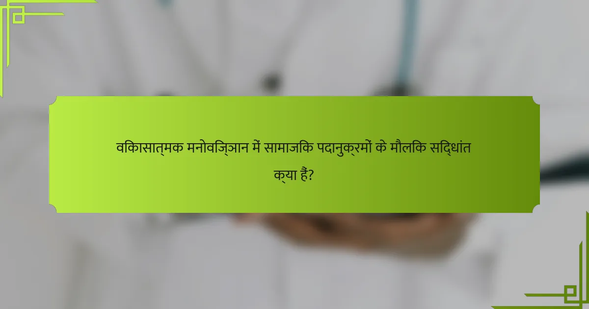 विकासात्मक मनोविज्ञान में सामाजिक पदानुक्रमों के मौलिक सिद्धांत क्या हैं?