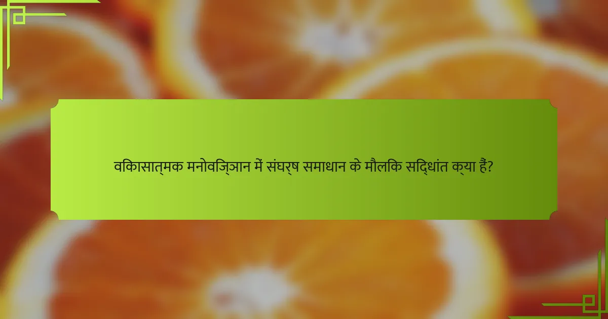 विकासात्मक मनोविज्ञान में संघर्ष समाधान के मौलिक सिद्धांत क्या हैं?
